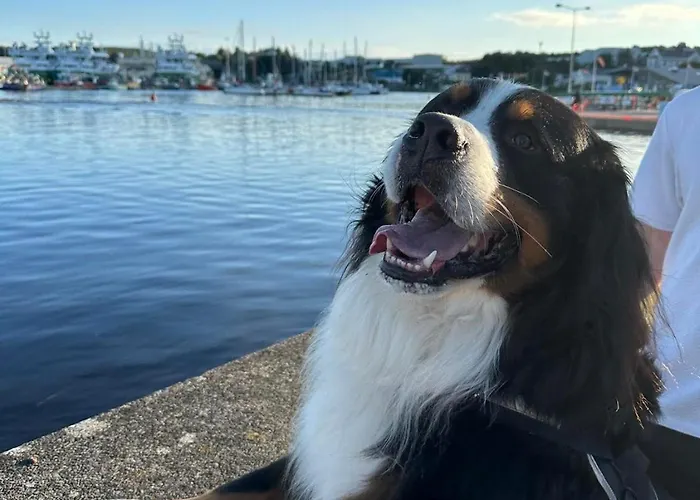 Сasa de vacaciones Dinnys Cottage, Free Parking, Bike Hire *